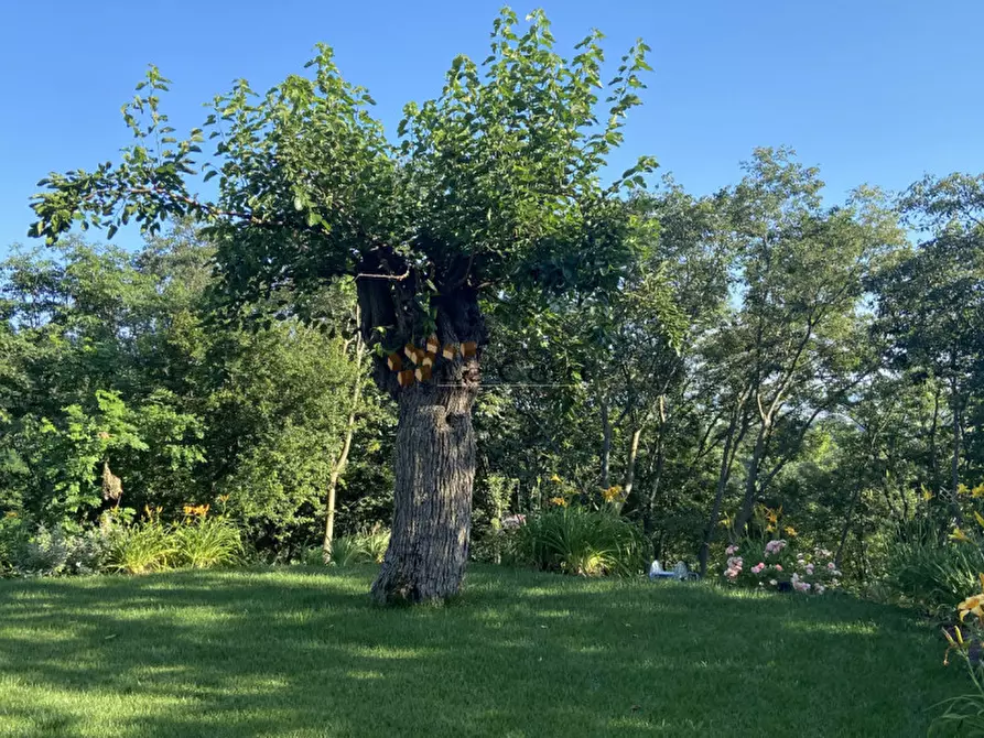 Immagine 7 di Villa in vendita  a Lonigo
