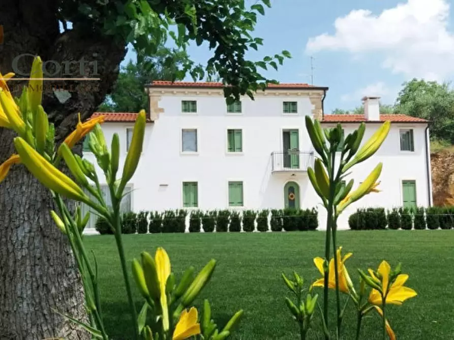 Immagine 29 di Villa in vendita  a Lonigo