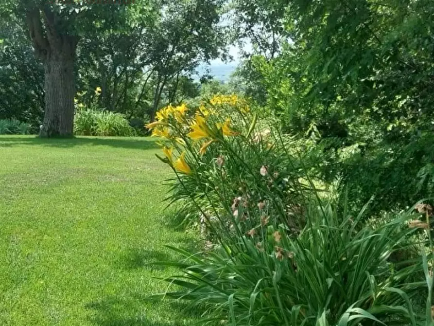 Immagine 30 di Villa in vendita  a Lonigo