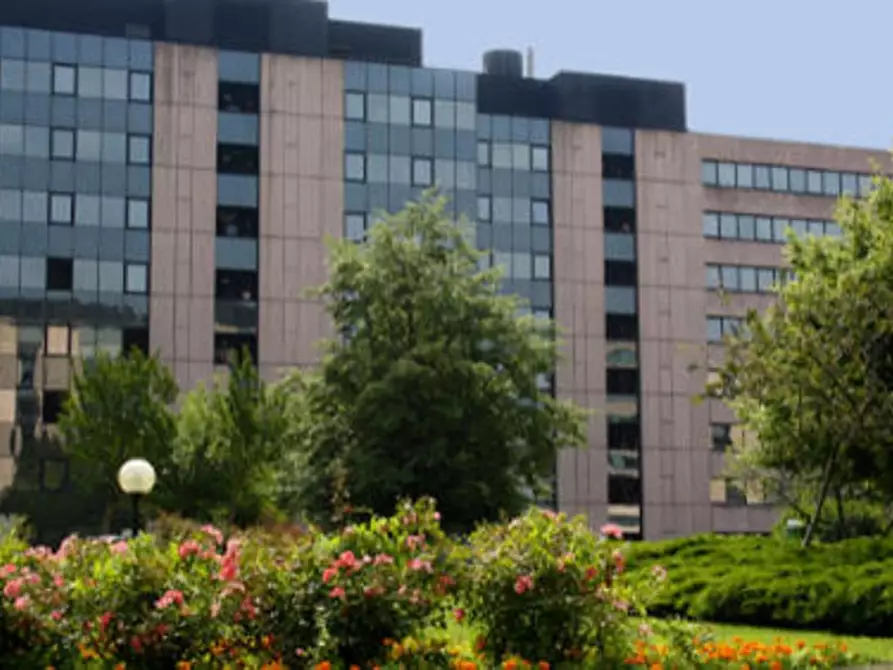 Immagine 9 di Ufficio in affitto  in VIA BARTOLOMEO COLLEONI a Agrate Brianza