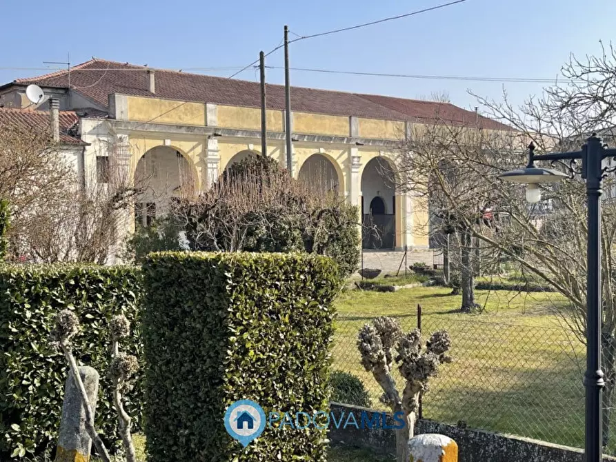 Immagine 1 di Rustico / casale in vendita  in Via argine sinistro beccara a Cartura