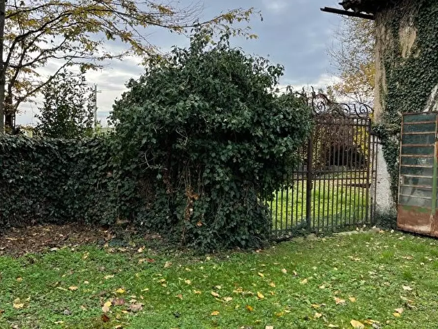 Immagine 7 di Casa indipendente in vendita  a Giavera Del Montello