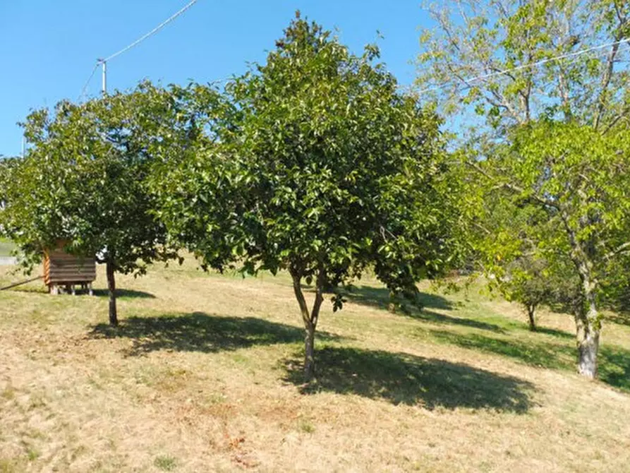 Immagine 17 di Terreno in vendita  in via lessini a Cerro Veronese