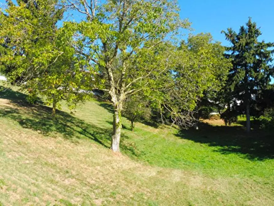 Immagine 19 di Terreno in vendita  in via lessini a Cerro Veronese
