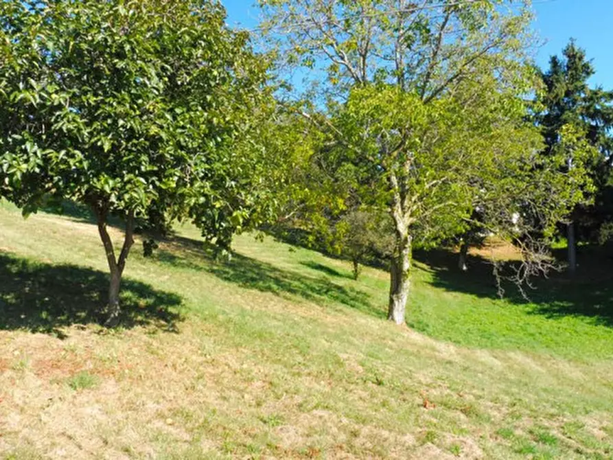 Immagine 5 di Terreno in vendita  in via lessini a Cerro Veronese