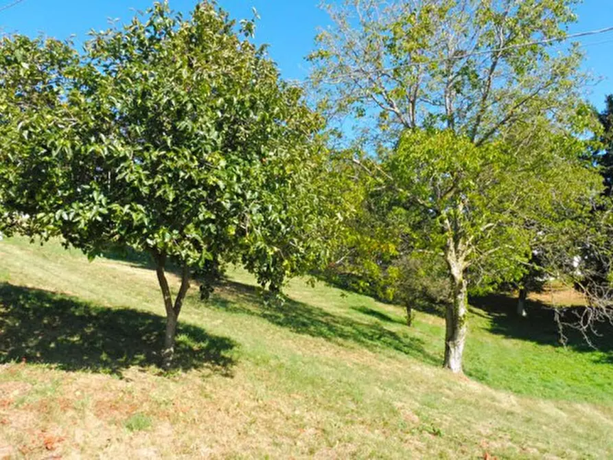 Immagine 8 di Terreno in vendita  in via lessini a Cerro Veronese