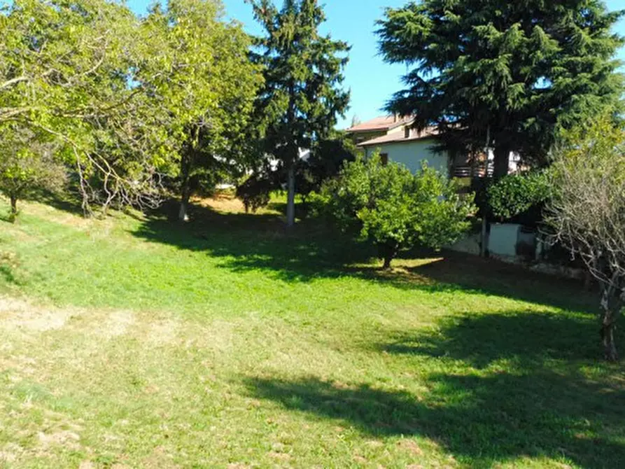 Immagine 10 di Terreno in vendita  in via lessini a Cerro Veronese