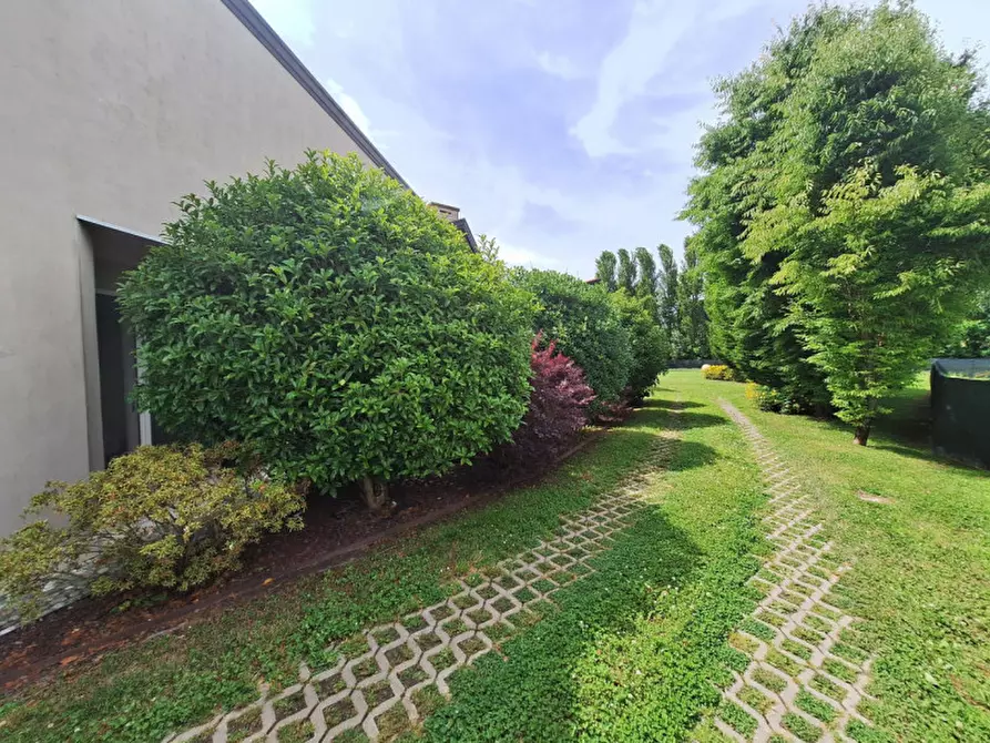 Immagine 7 di Villa in vendita  a Rovigo