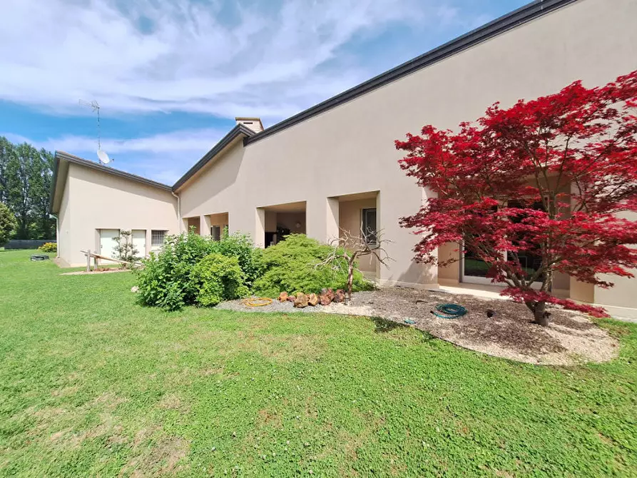 Immagine 9 di Villa in vendita  a Rovigo