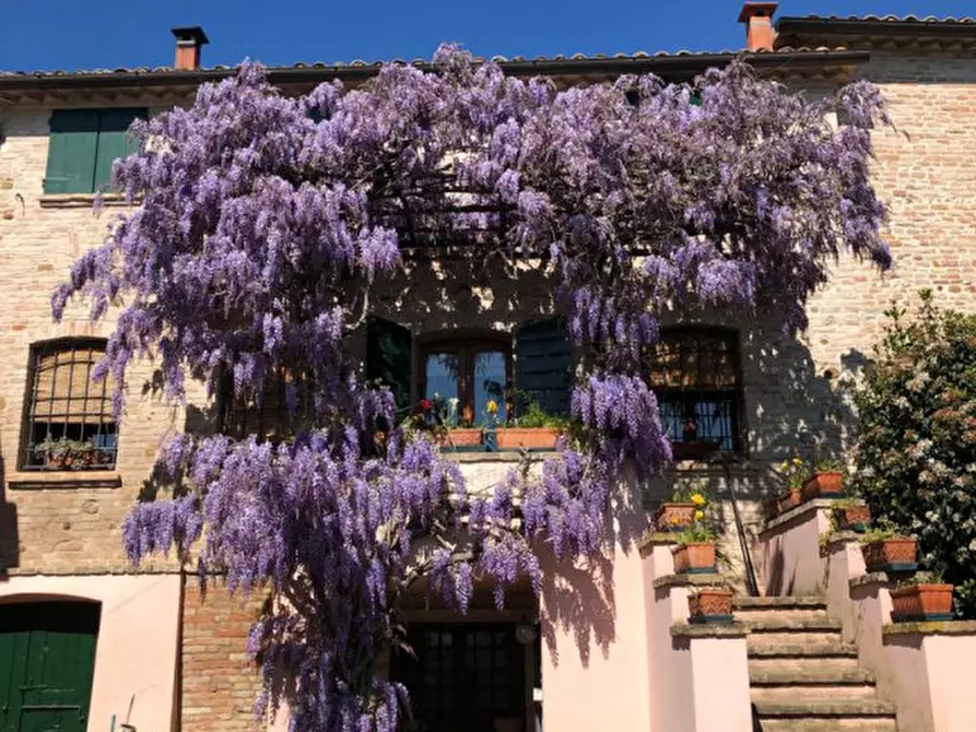 Immagine 1 di Villa in vendita  a Longiano