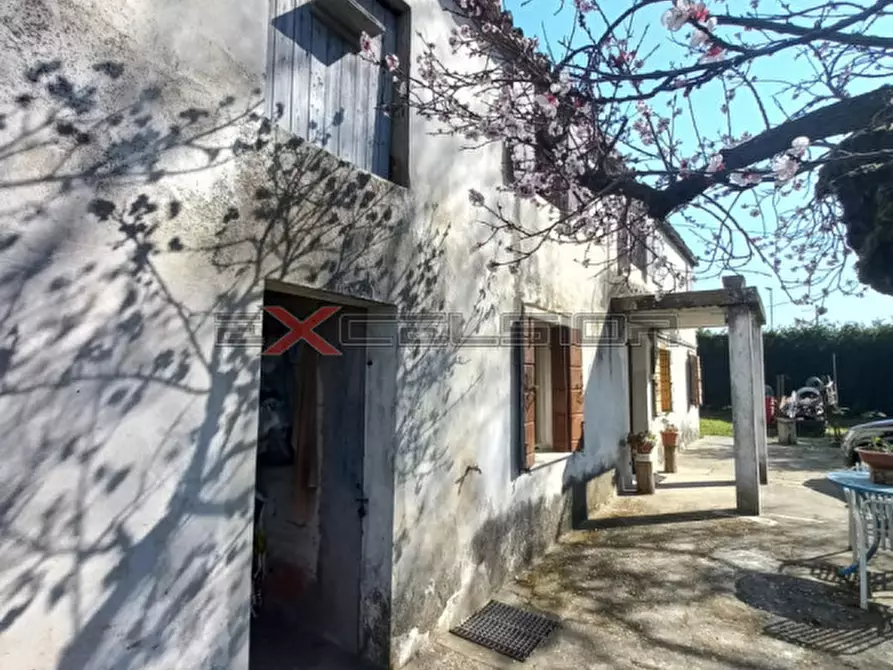 Immagine 3 di Casa indipendente in vendita  in Via G. Matteotti 20 bis cavarzere a Cavarzere