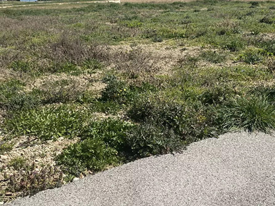 Immagine 4 di Terreno in vendita  in Via L.Perosi a Casalserugo