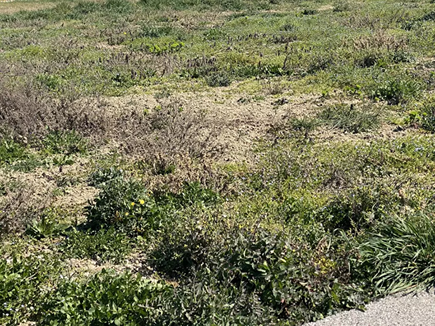 Immagine 5 di Terreno in vendita  in Via L.Perosi a Casalserugo