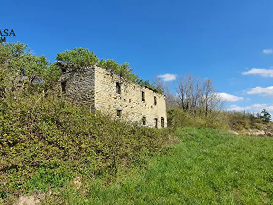 Immagine 2 di Rustico / casale in vendita  in Camposonaldo a Santa Sofia