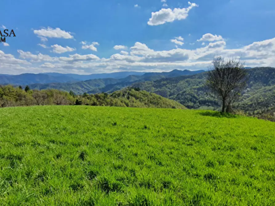 Immagine 4 di Rustico / casale in vendita  in Camposonaldo a Santa Sofia