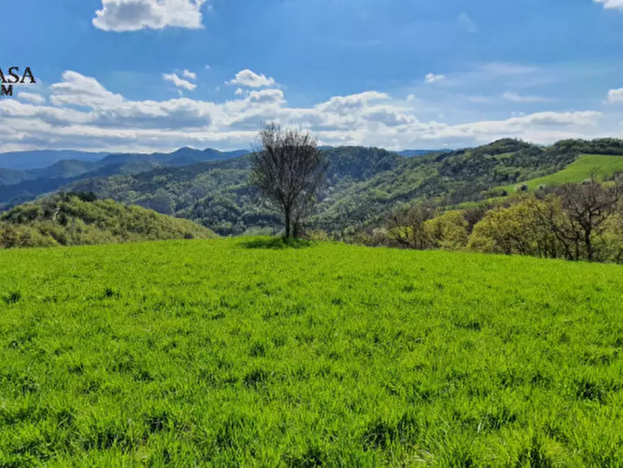 Immagine 5 di Rustico / casale in vendita  in Camposonaldo a Santa Sofia