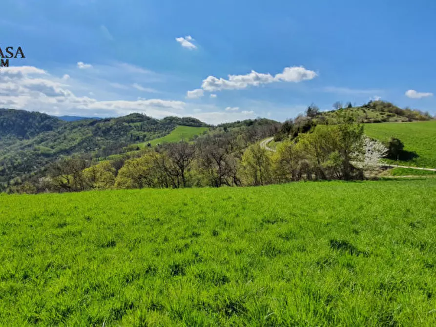 Immagine 6 di Rustico / casale in vendita  in Camposonaldo a Santa Sofia
