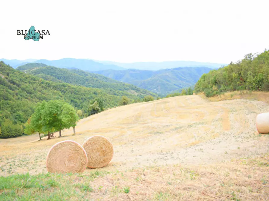 Immagine 7 di Rustico / casale in vendita  in Camposonaldo a Santa Sofia