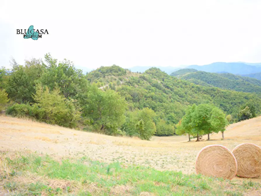 Immagine 8 di Rustico / casale in vendita  in Camposonaldo a Santa Sofia