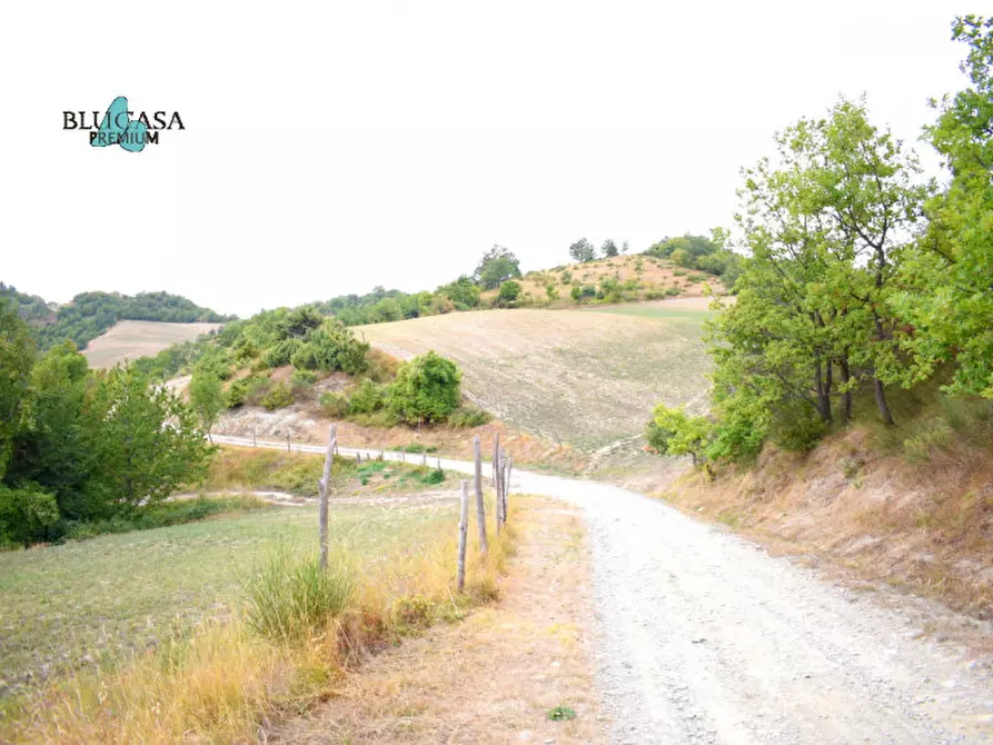 Immagine 9 di Rustico / casale in vendita  in Camposonaldo a Santa Sofia