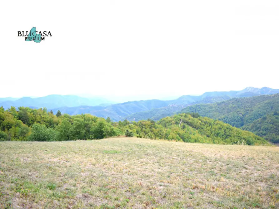 Immagine 10 di Rustico / casale in vendita  in Camposonaldo a Santa Sofia