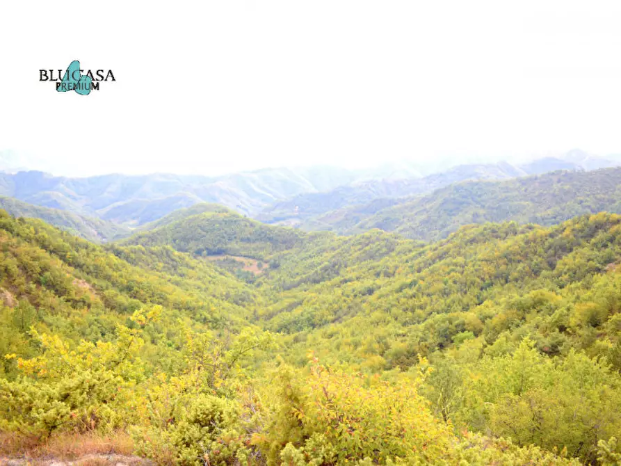 Immagine 11 di Rustico / casale in vendita  in Camposonaldo a Santa Sofia