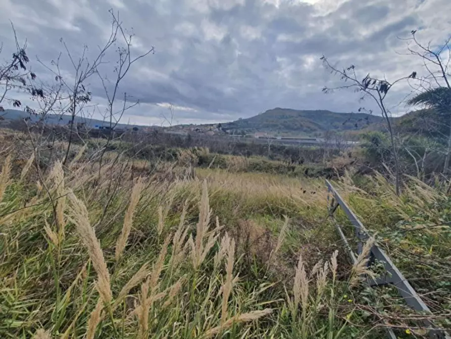 Immagine 5 di Capannone industriale in vendita  in loc. Istolo, N. snc a Orani