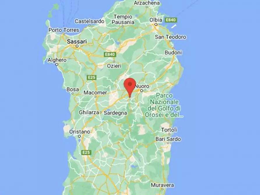 Immagine 18 di Capannone industriale in vendita  in loc. Istolo, N. snc a Orani