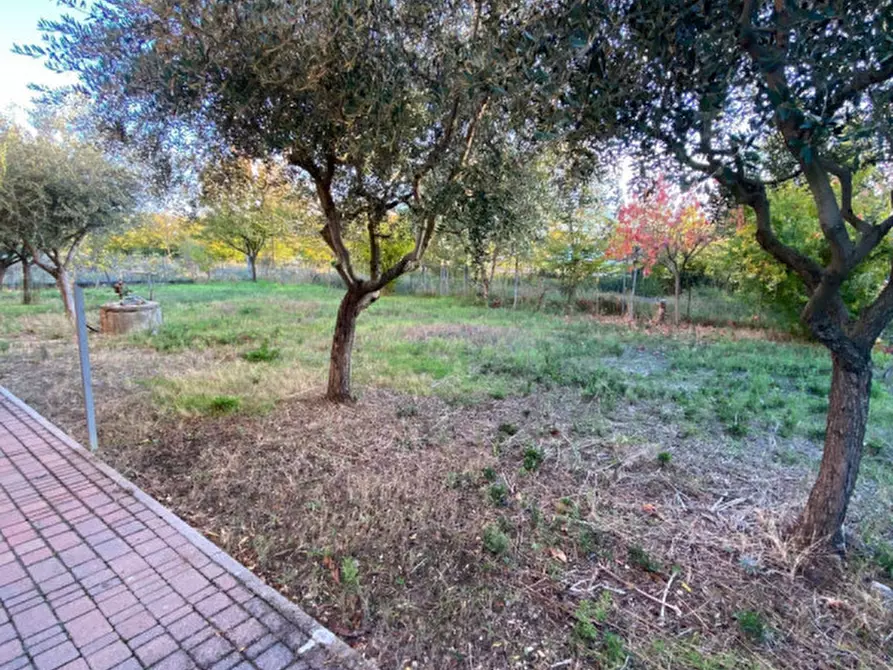 Immagine 4 di Appartamento in vendita  a Savignano Sul Rubicone