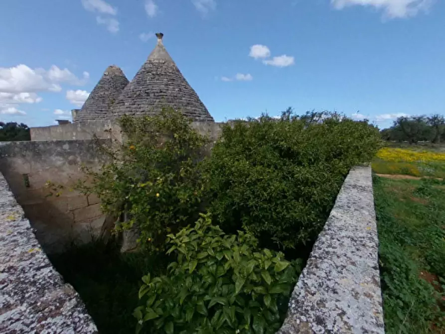 Immagine 22 di Rustico / casale in vendita  a Fasano