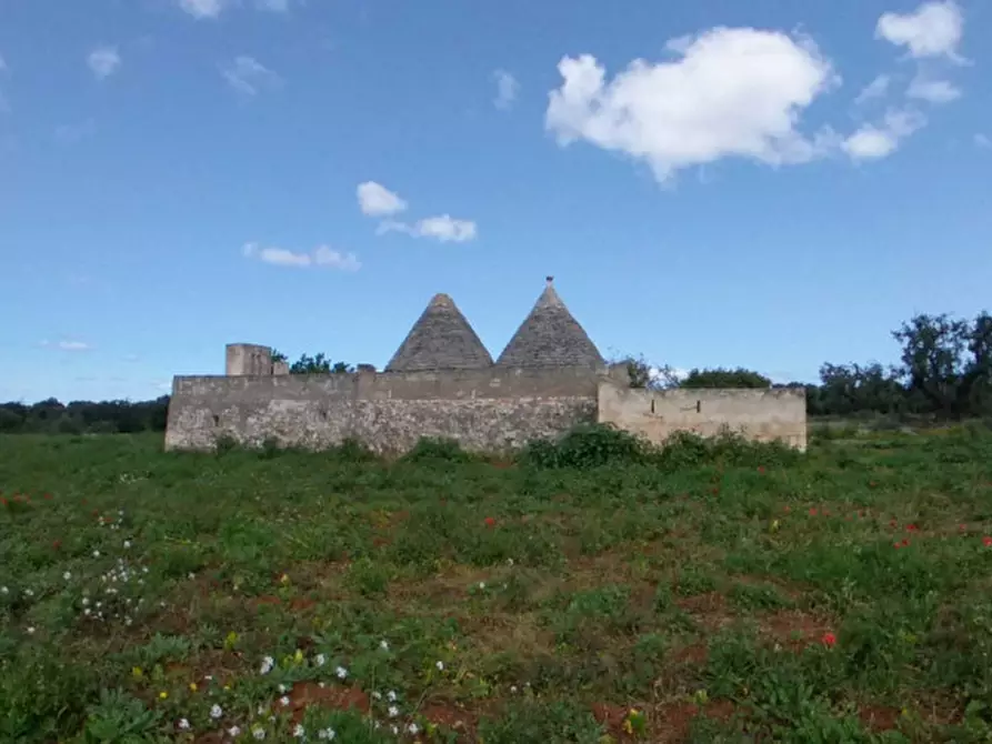 Immagine 26 di Rustico / casale in vendita  a Fasano