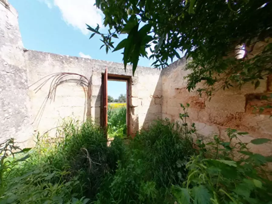 Immagine 28 di Rustico / casale in vendita  a Fasano