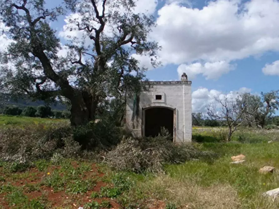 Immagine 31 di Rustico / casale in vendita  a Fasano