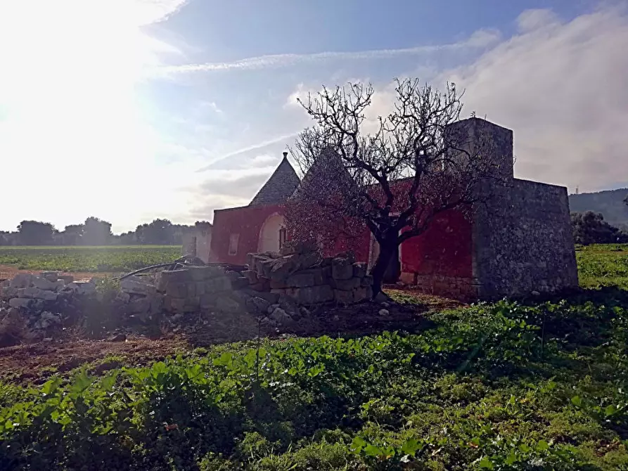 Immagine 38 di Rustico / casale in vendita  a Fasano