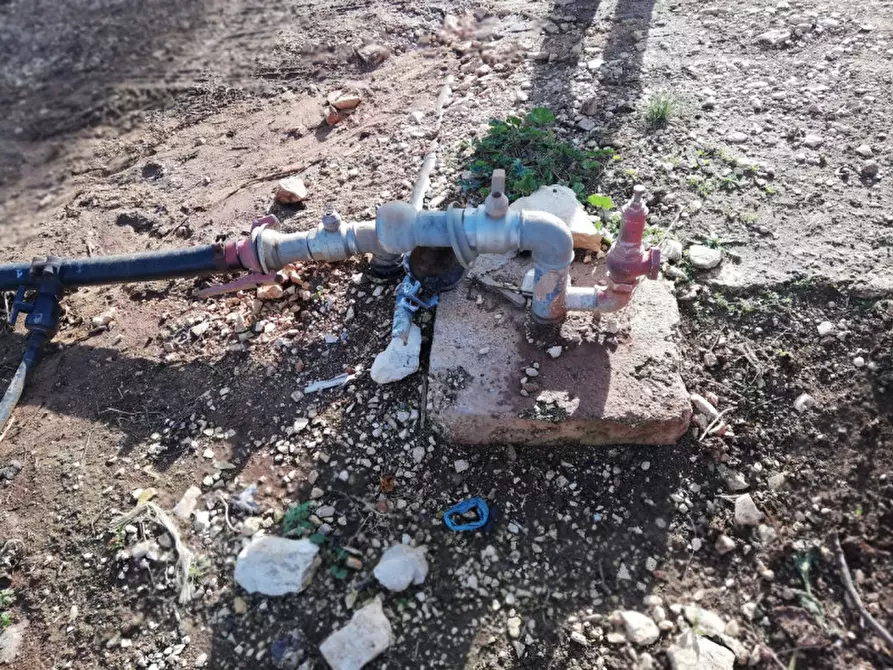 Immagine 39 di Rustico / casale in vendita  a Fasano