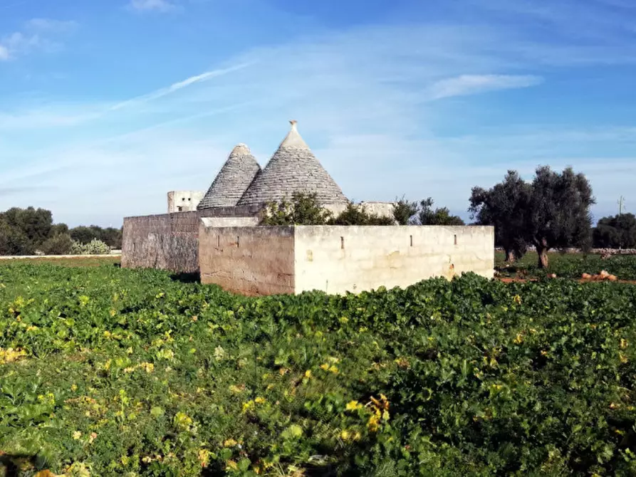 Immagine 40 di Rustico / casale in vendita  a Fasano