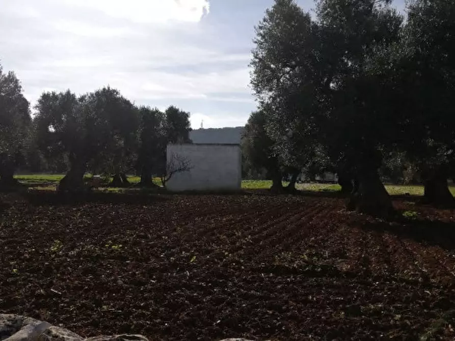 Immagine 44 di Rustico / casale in vendita  a Fasano