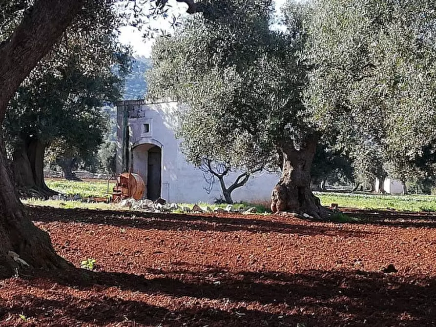 Immagine 46 di Rustico / casale in vendita  a Fasano