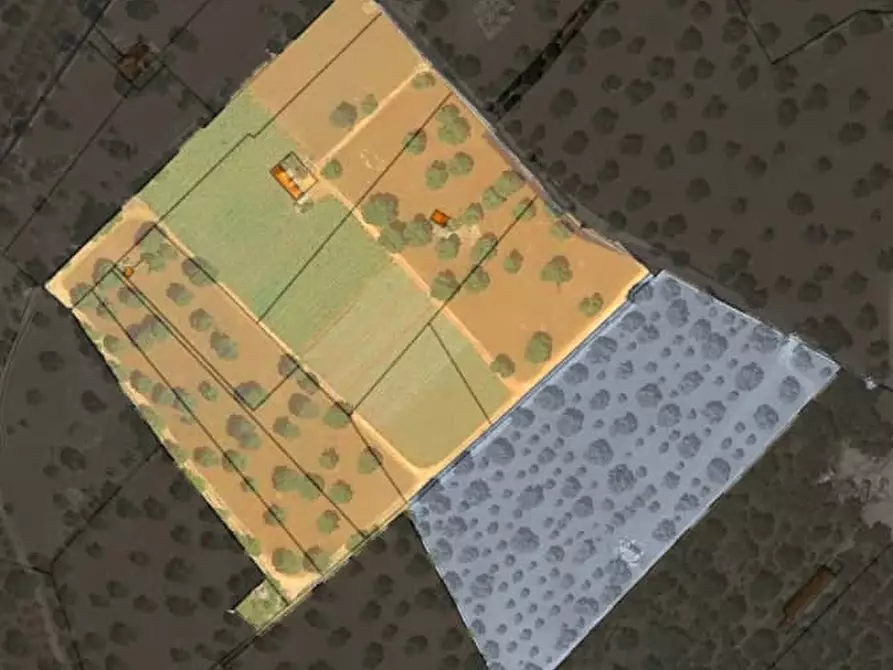 Immagine 47 di Rustico / casale in vendita  a Fasano