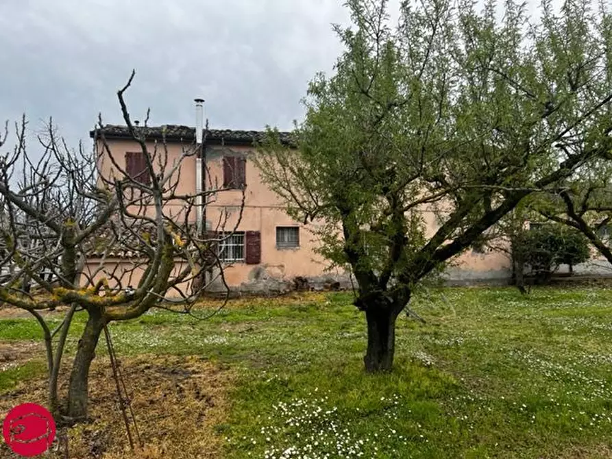 Immagine 2 di Rustico / casale in vendita  a Longiano