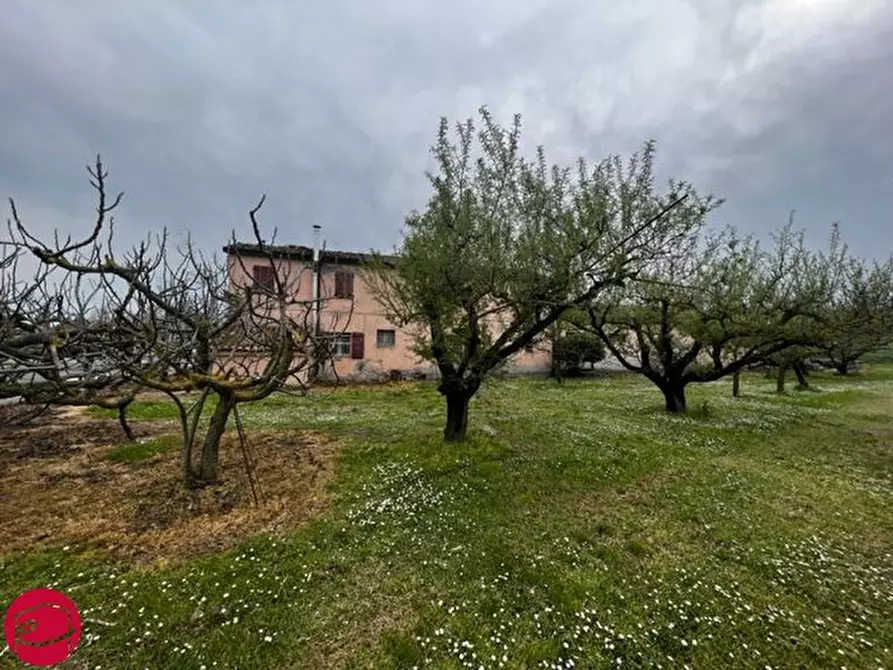 Immagine 4 di Rustico / casale in vendita  a Longiano