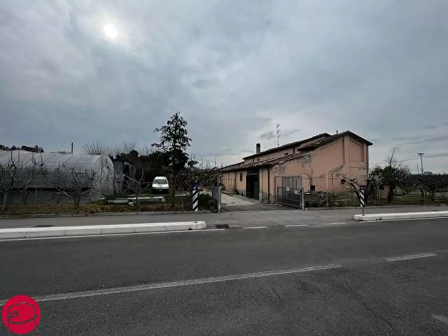 Immagine 5 di Rustico / casale in vendita  a Longiano