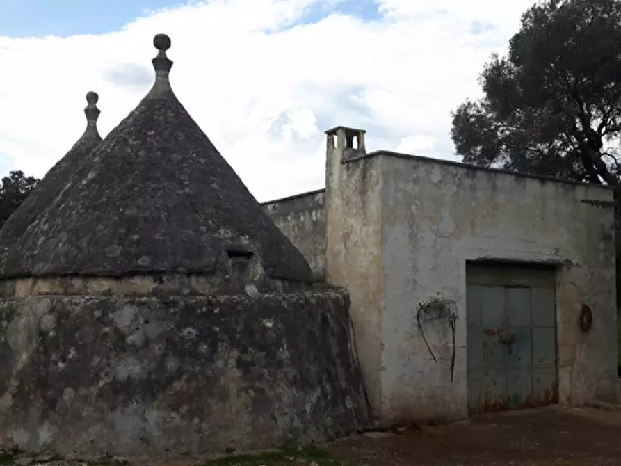 Immagine 24 di Rustico / casale in vendita  in C.da Pezza La Spina a Ostuni