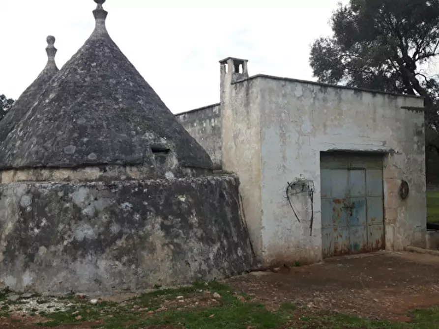 Immagine 25 di Rustico / casale in vendita  in C.da Pezza La Spina a Ostuni