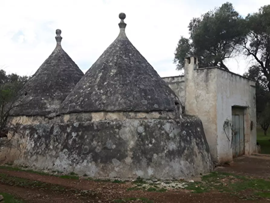 Immagine 26 di Rustico / casale in vendita  in C.da Pezza La Spina a Ostuni