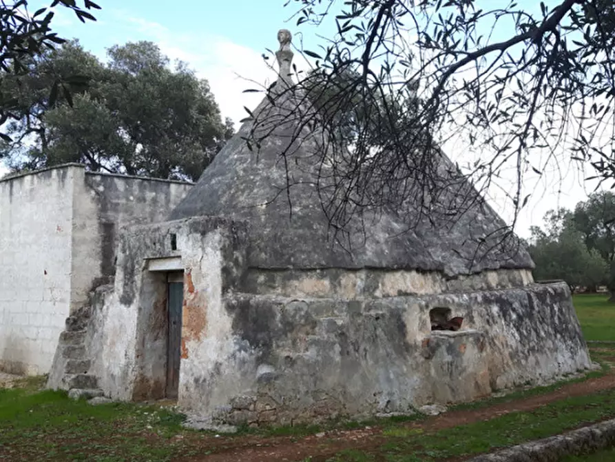 Immagine 28 di Rustico / casale in vendita  in C.da Pezza La Spina a Ostuni