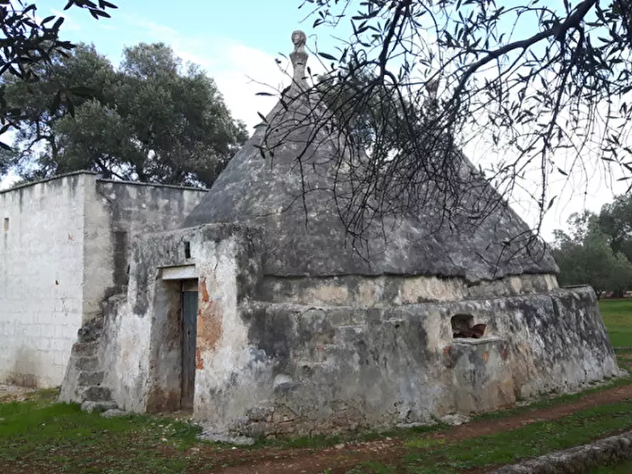 Immagine 29 di Rustico / casale in vendita  in C.da Pezza La Spina a Ostuni