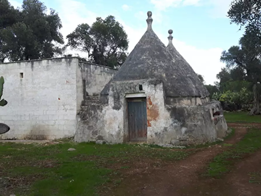 Immagine 30 di Rustico / casale in vendita  in C.da Pezza La Spina a Ostuni