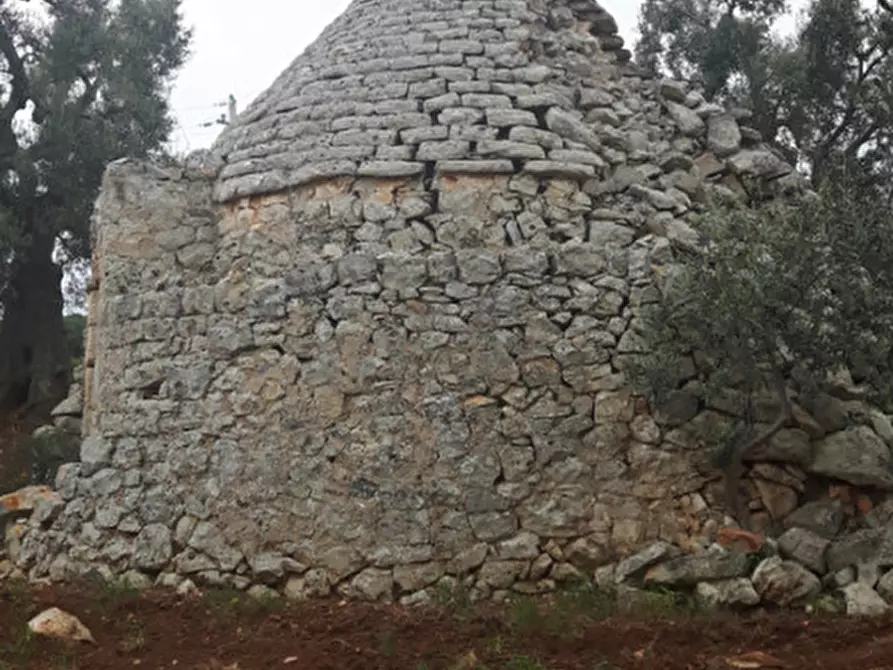 Immagine 7 di Rustico / casale in vendita  in C.da Lamacavallo a Ostuni