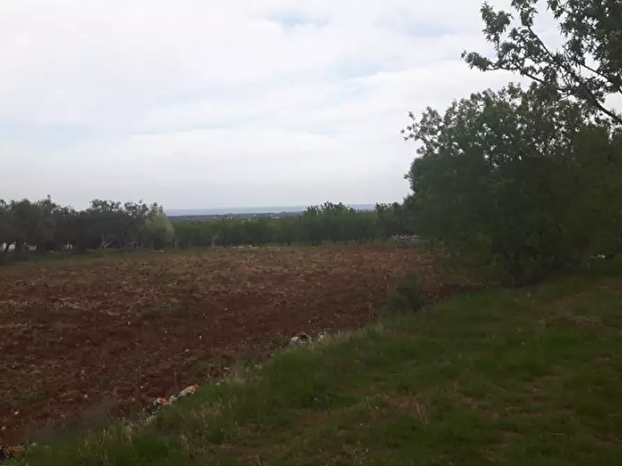 Immagine 8 di Rustico / casale in vendita  in C.da Lamacavallo a Ostuni